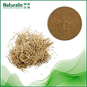 Asarum Extract