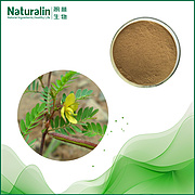 Cassia Nomame Extract