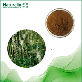 Black Cohosh Extract