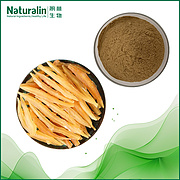 Asparagus Cochinchinensis Extract