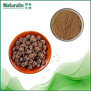 Cat's Claw Extract