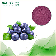 Blueberry Extract