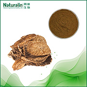 Burdock Root/Seed Extract