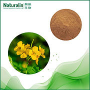 Celandine Extract