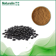 Black Bean Extract