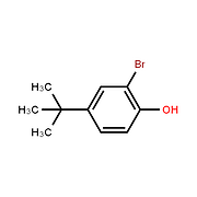 2-Bromo-4-tert-butylphenol
