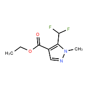 ethyl 5-(difluoromethyl)-1-methyl-1h-pyrazole-4-carboxylate