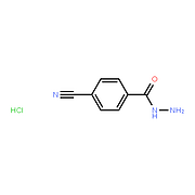 4-Cyanobenzohydrazide Hydrochloride
