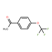 4'-(Trifluoromethoxy)acetophenone