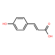 p-Coumaric acid