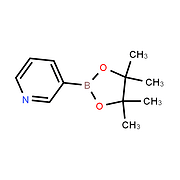 Pyridine-3-boronic acid pinacol ester