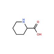 Pipecolinic acid