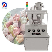 Pharmacy Tablet Press Machine