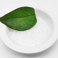 Polycaprolactone