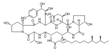 Pneumocandin B0