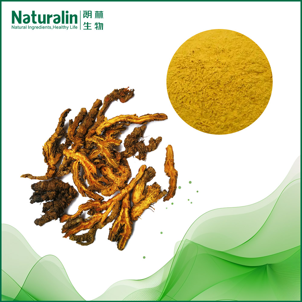 Coptis Extract