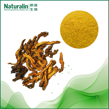 Coptis Extract