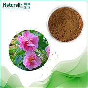 Hibiscus Flower Extract