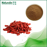 Go Ji (Wolfberry )Extract