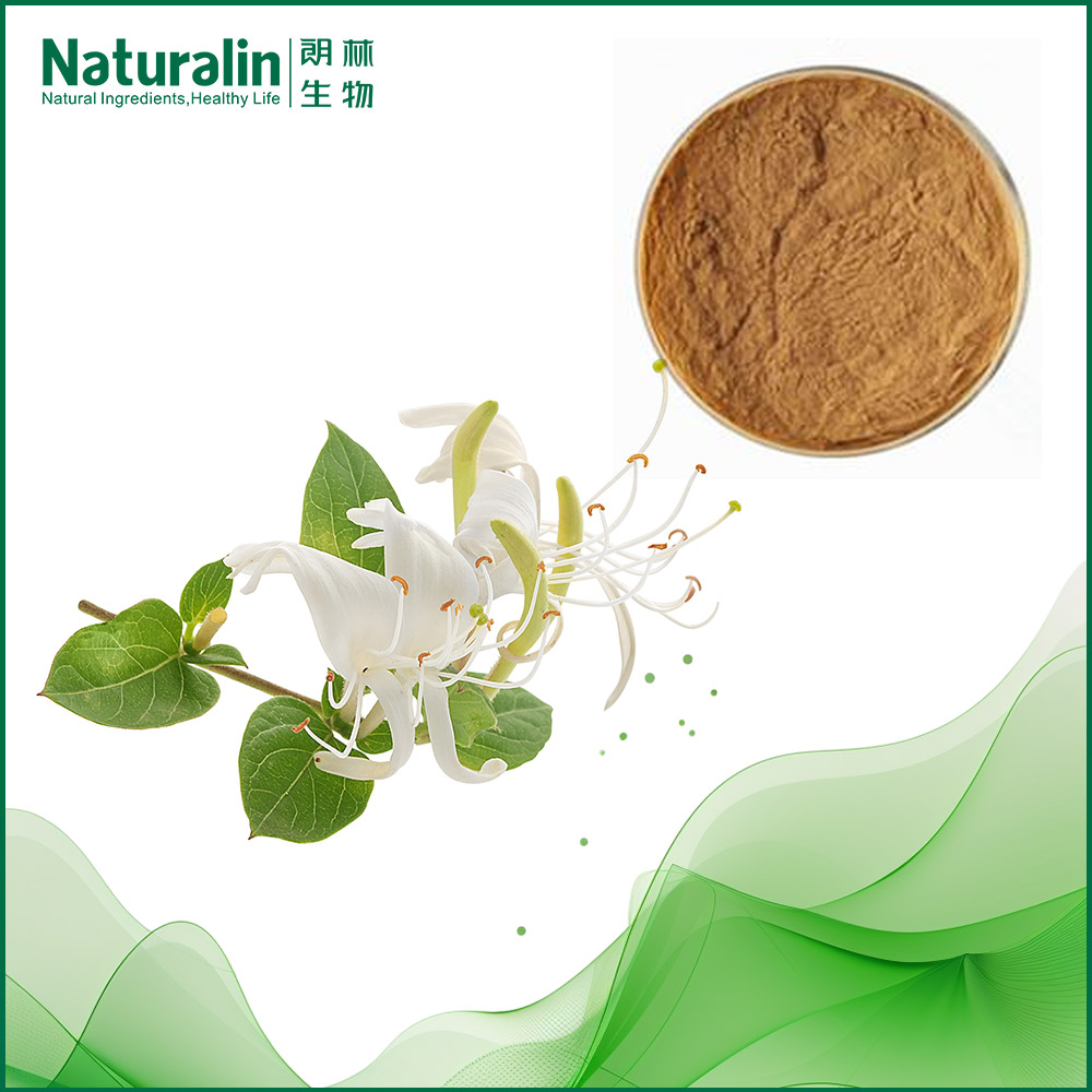 Honeysuckle Flower Extract
