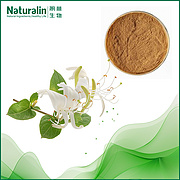 Honeysuckle Flower Extract