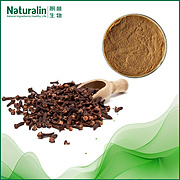 Clove Extract