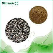 Cluster Mallow Fruit / Seed Extract