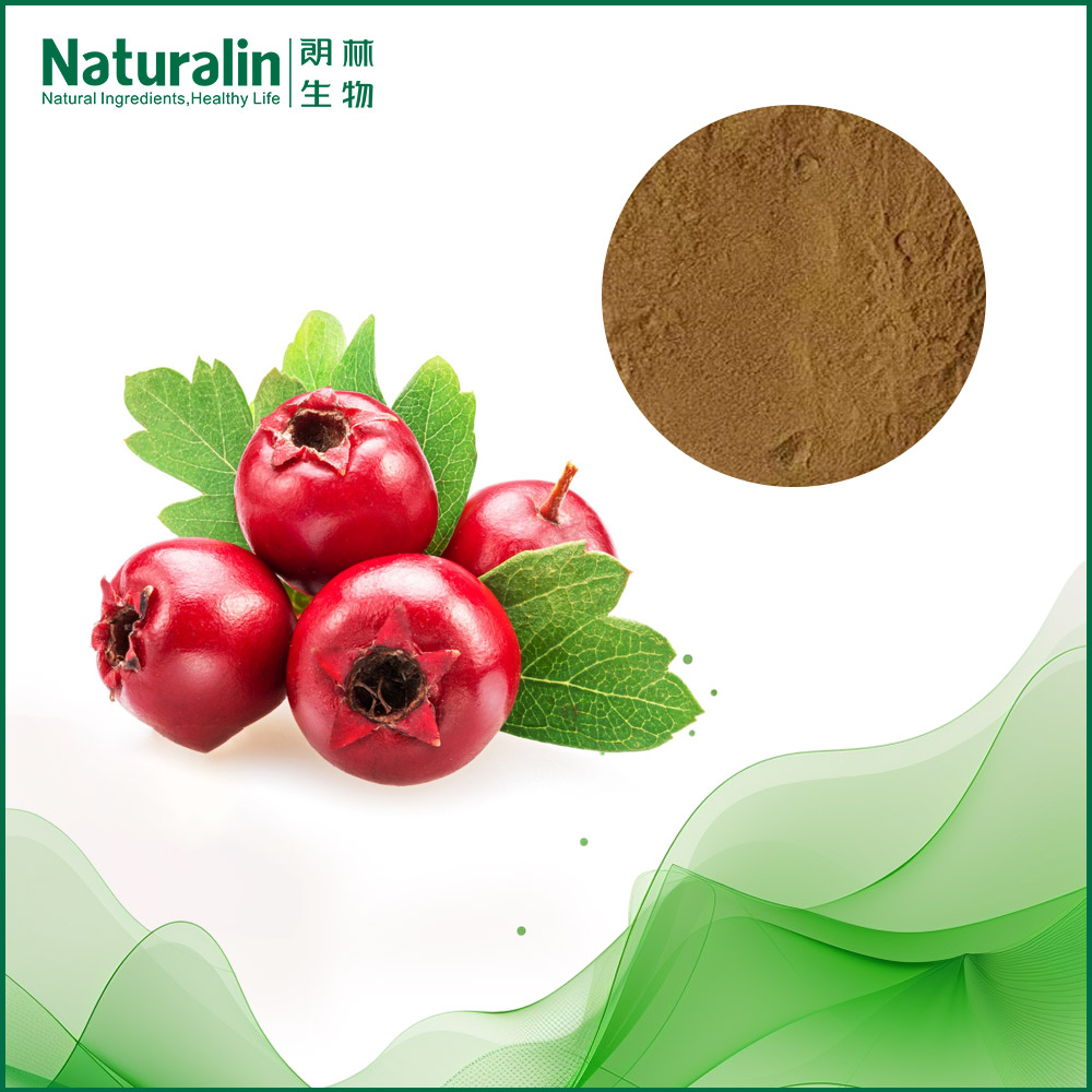Hawthorn Leaves / Berry Extract