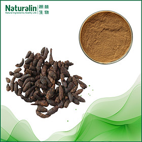 Cyperus (Nut Grass) Extract