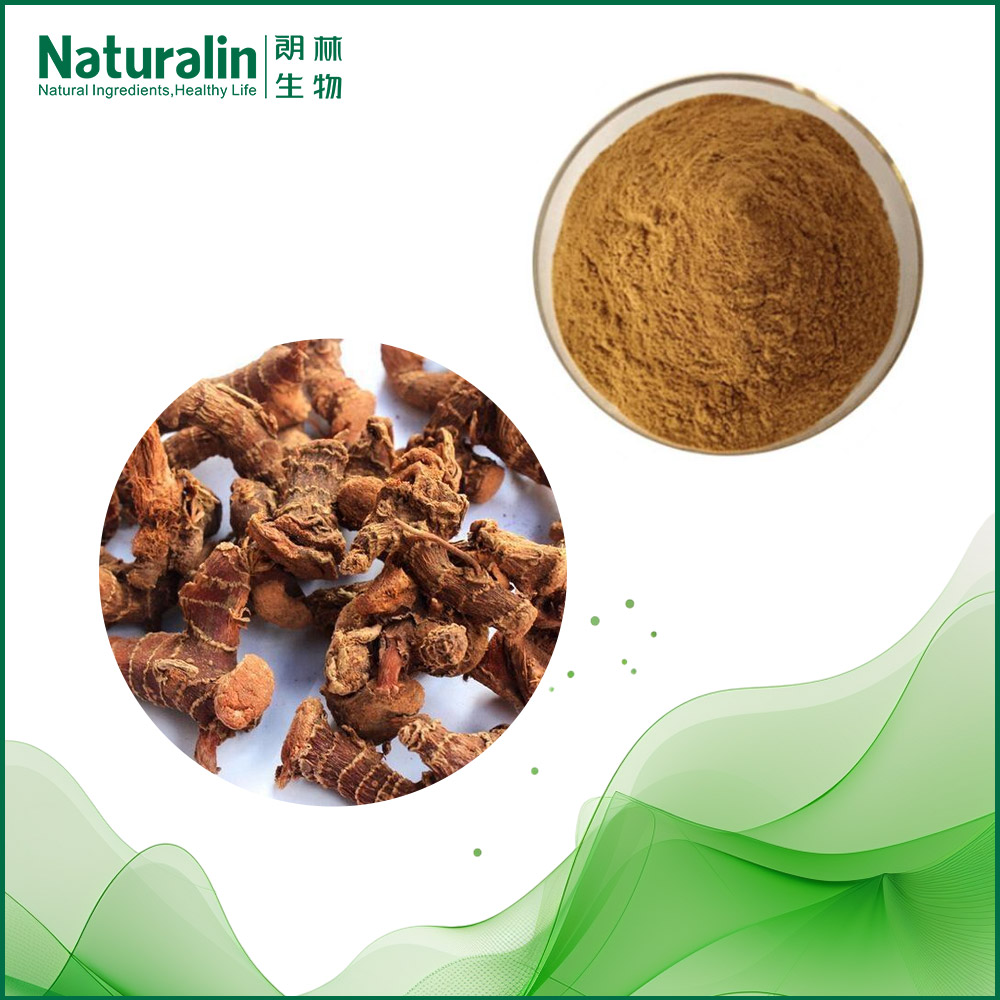 Galangal Extract