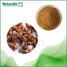 Galangal Extract