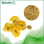 Chrysanthemum Extract
