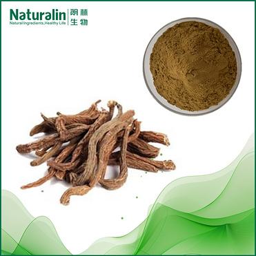 Dipsacus Root Extract