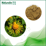 Elecampane Extract