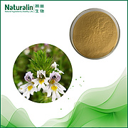 Eyebright Herb Extract