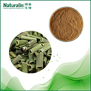 Equisetum Arvense Extract