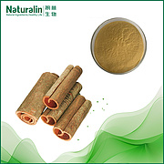 Cinnamon Bark Extract
