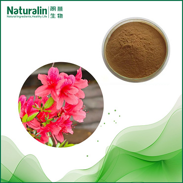 Dahurian Rhodoendron Leaf Extract