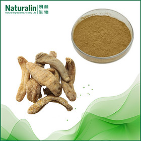 Gastrodia Root Extract