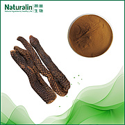 Cistanche Extract