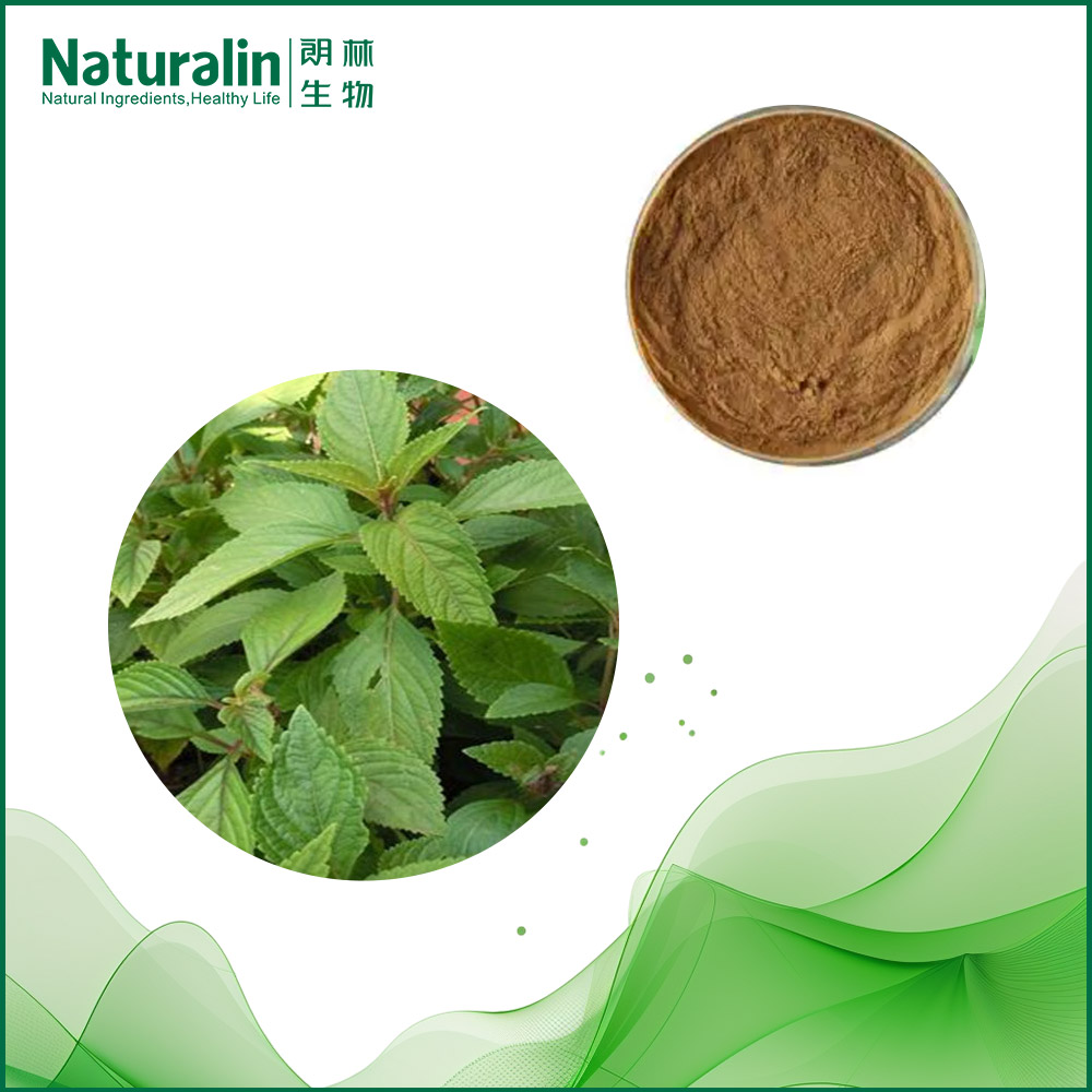 Common Rabdosia Extract