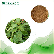 Common Rabdosia Extract