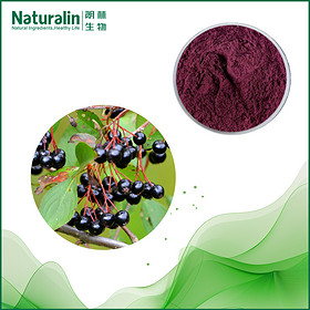 Elderberry Extract