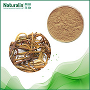 Uncaria Extract