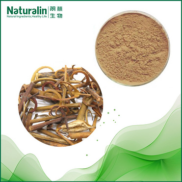 Uncaria Extract