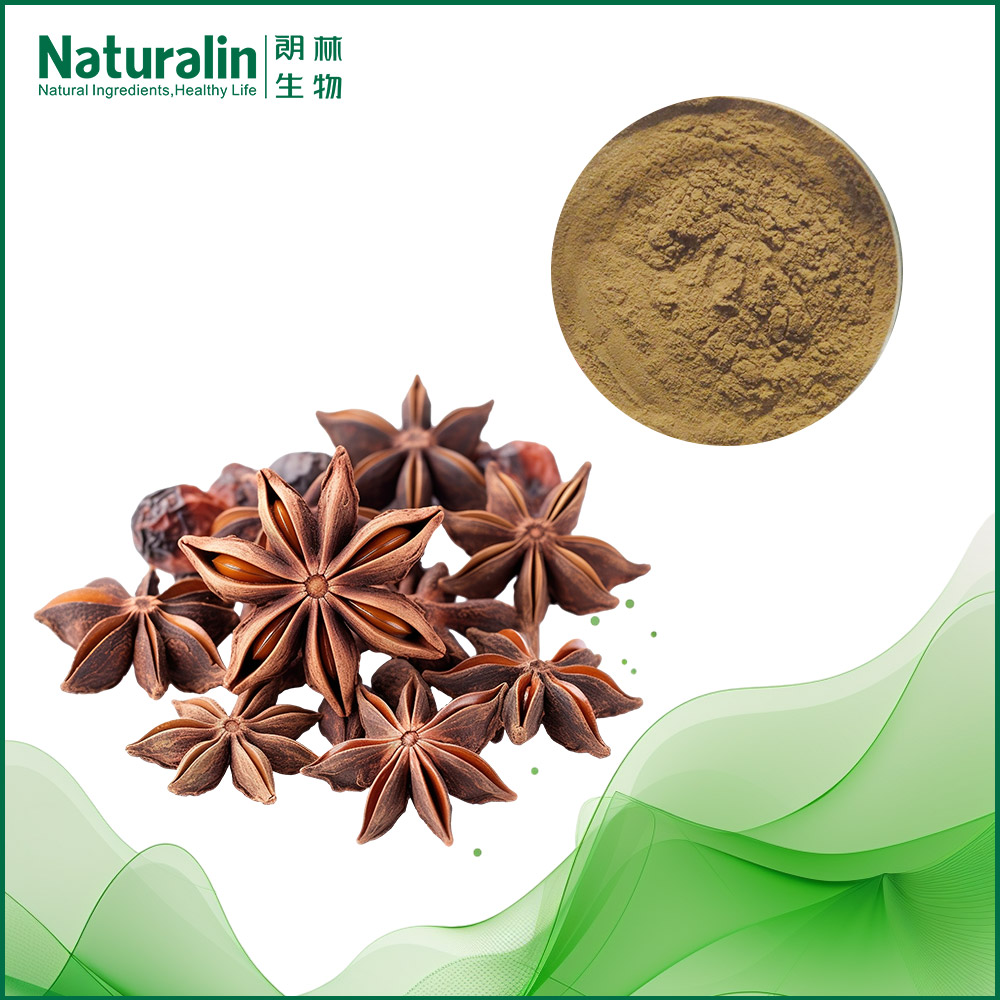 Fructus Anisi Stellati Extract