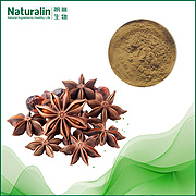 Fructus Anisi Stellati Extract