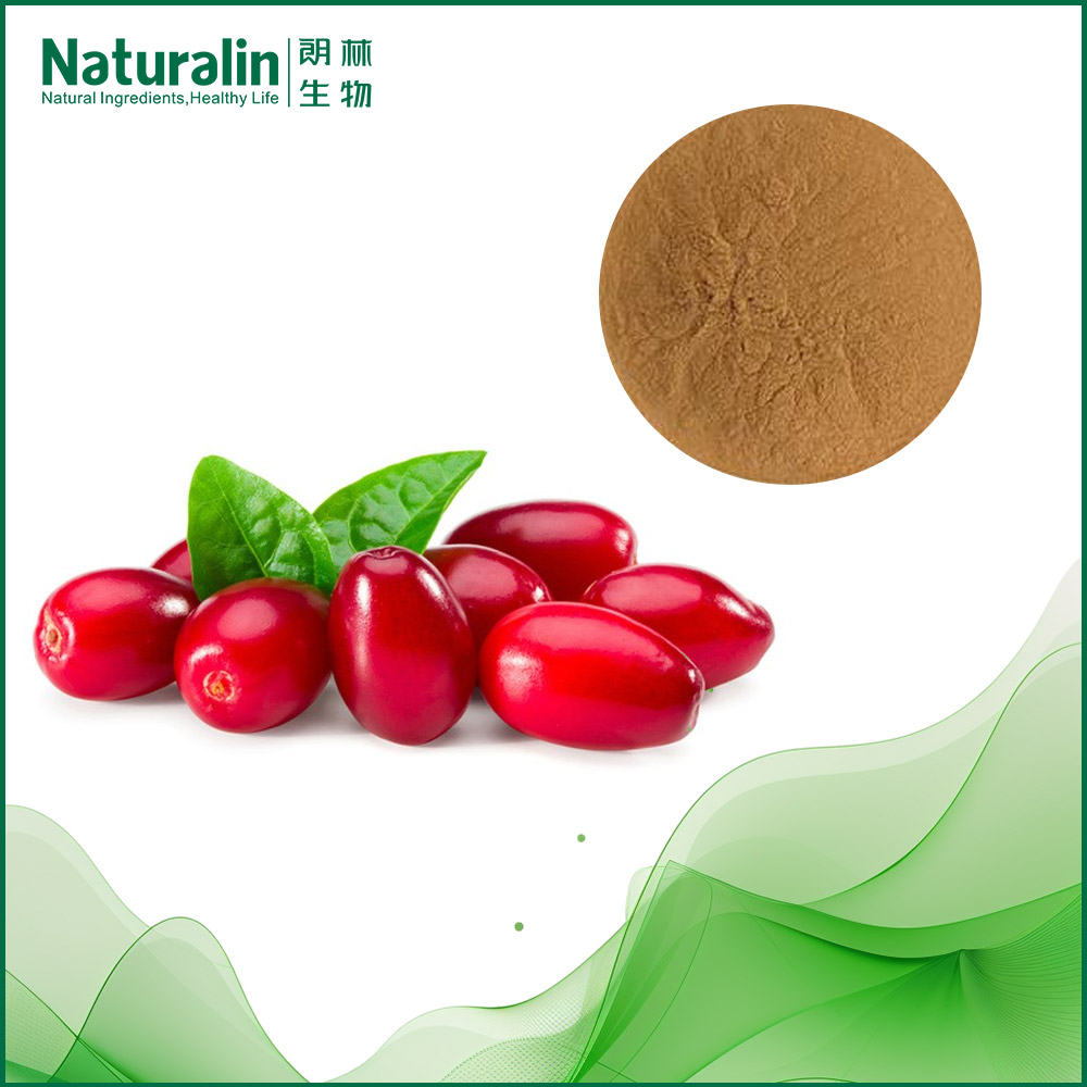 Dogwood Extract