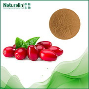 Dogwood Extract