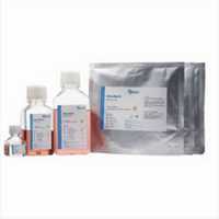 Eden series CHO CD medium